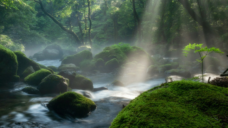 It’s an important year for nature. As they say, good things come in threes…