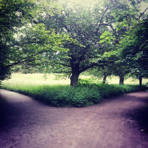 crossroads-in-park-gettyimages-592027035.jpg