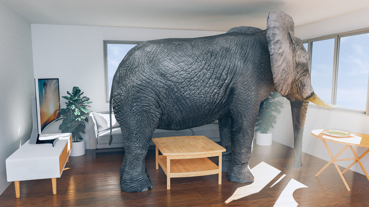 elephant-in-the-room.jpg