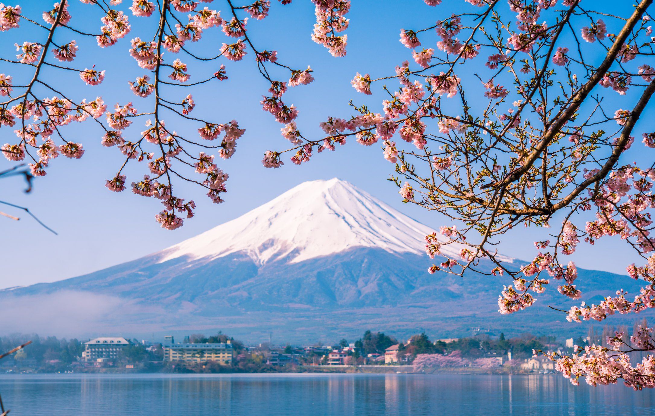 Mount Fuji Japan