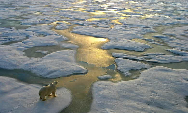 Climate Impact Pledge