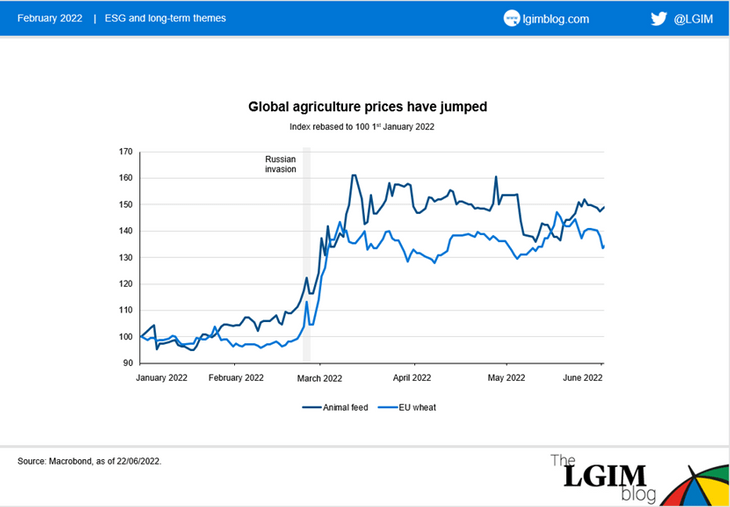 Global_agriculture_prices (1).png