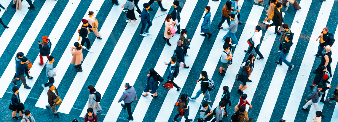 zebra-crossing-1140.jpg